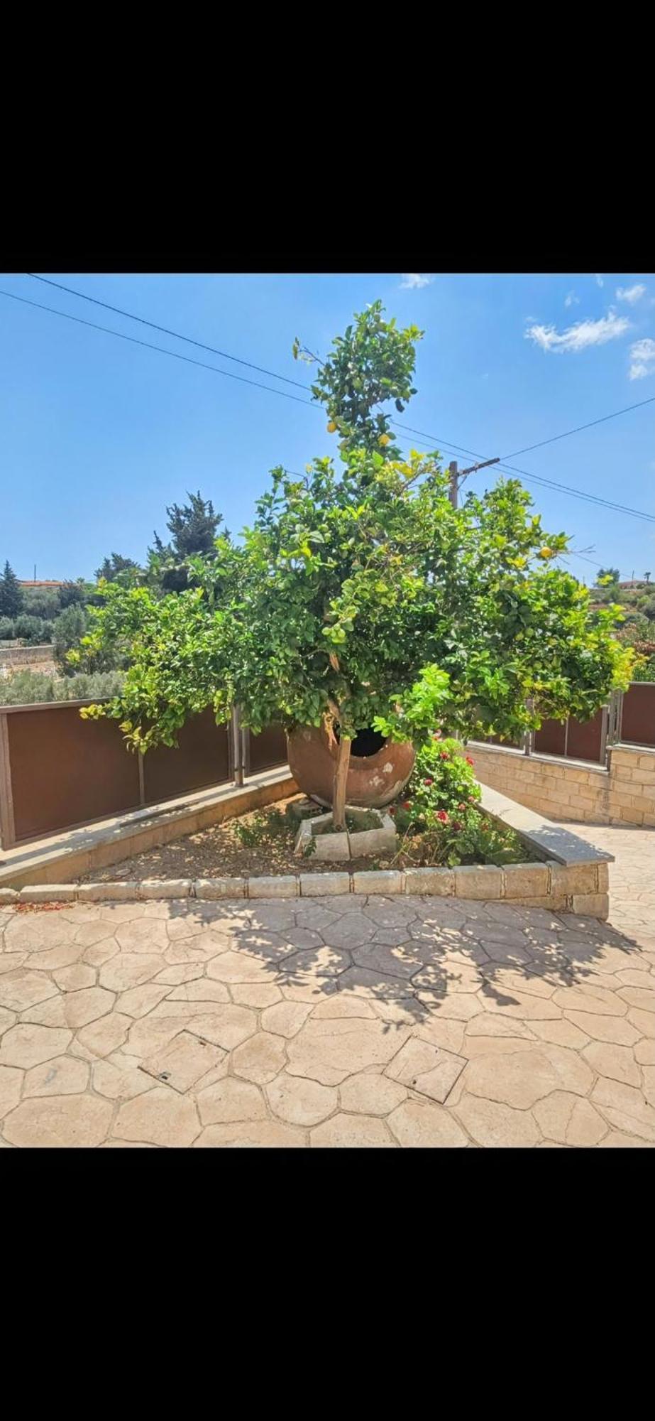 Villa Elizabeth Limassol Exterior foto